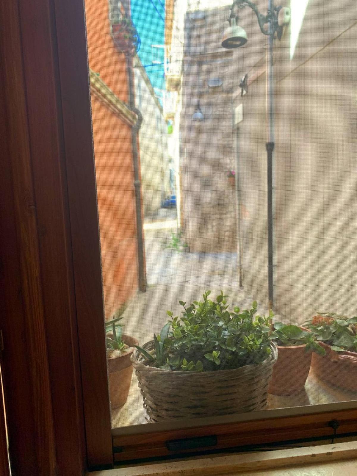 Da Minguccio Hotel Venosa Exterior photo